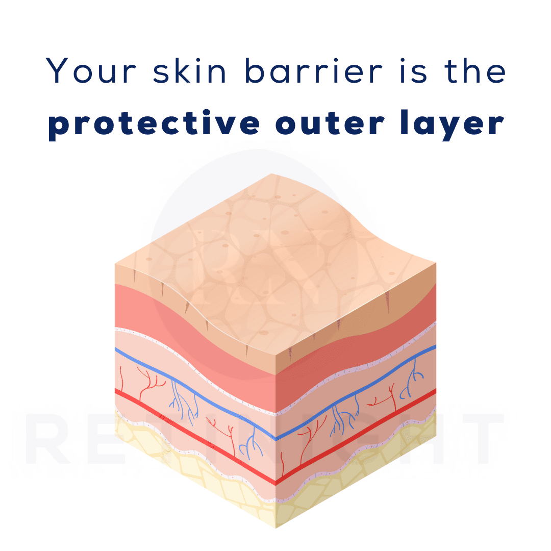 لحفاظ على الترطيب: يساعد حاجز البشرة في منع فقدان الرطوبة من البشرة، مما يساعد في الحفاظ على بشرة مرطبة ونضرة.
الحماية من التهيجات والالتهابات: يعمل حاجز البشرة على منع الجراثيم والمواد الضارة من اختراق البشرة، مما يقلل من خطر الالتهابات والتهيجات.
تحسين مرونة البشرة: يساعد حاجز البشرة على تعزيز مرونة البشرة ومظهرها العام، مما يسهم في منع ظهور التجاعيد والخطوط الدقيقة
Protection against Irritations and Inflammations: It prevents germs and harmful substances from penetrating the skin, reducing the risk of inflammations and irritations.

Improving Skin Elasticity: The skin barrier helps enhance skin elasticity and overall appearance, thereby preventing the appearance of wrinkles and fine lines.